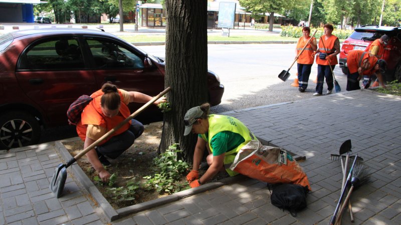 � ���������������� ������ �������� ������ � �����������