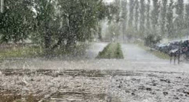 � ������� �� ����� ����� ������������ ��� � �������