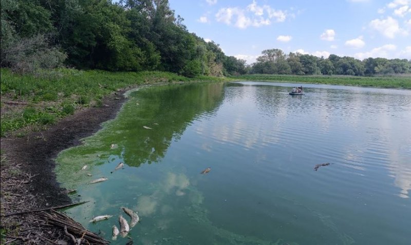 � ������ �� ������� ������� ����� ����