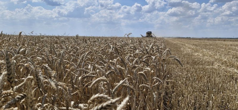 �� ������� ������� ����� �������� ������. ���� ���������?