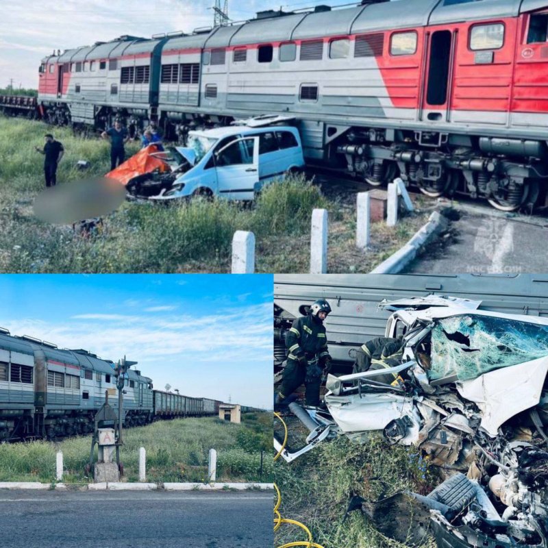 ϳ� ���������� ������� ������� ���: �������� �?����� �����