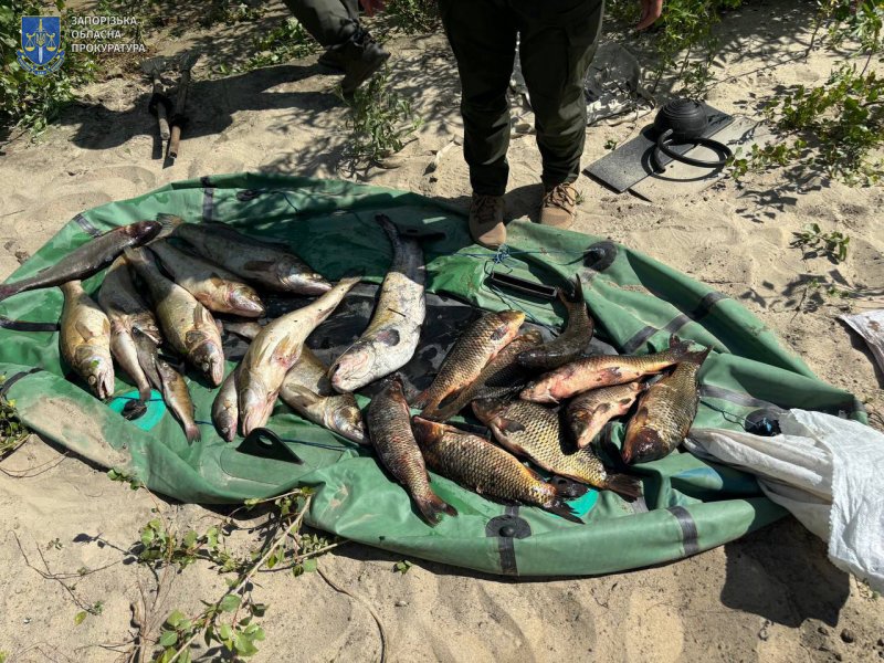 � ������� ��������� ��������� ���� ������ ����������