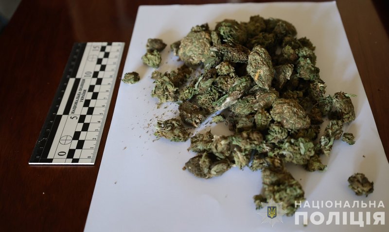 ������ �������� �������� ������� ������� ������ �����