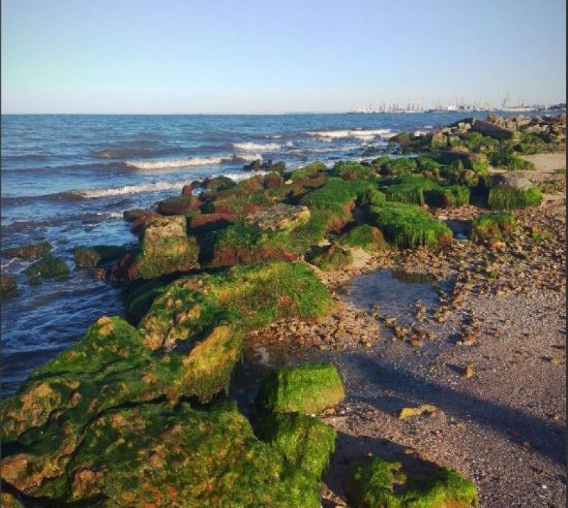 ����� 䳿 ����� �������� ���� ��������� �� ��� ��������� ����������