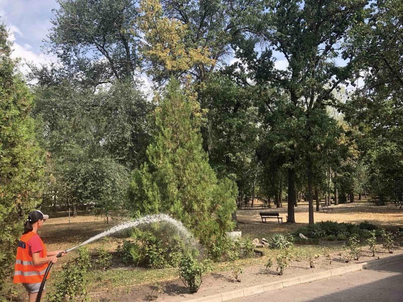 ������������ ������ ��� ���������� ����