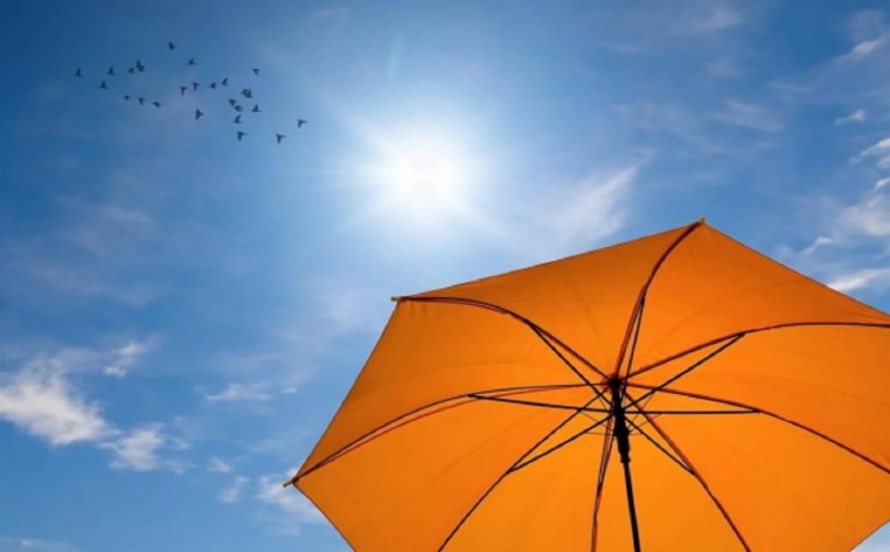 ����������� ���� ����� �����: ��� ������ ���� � �������