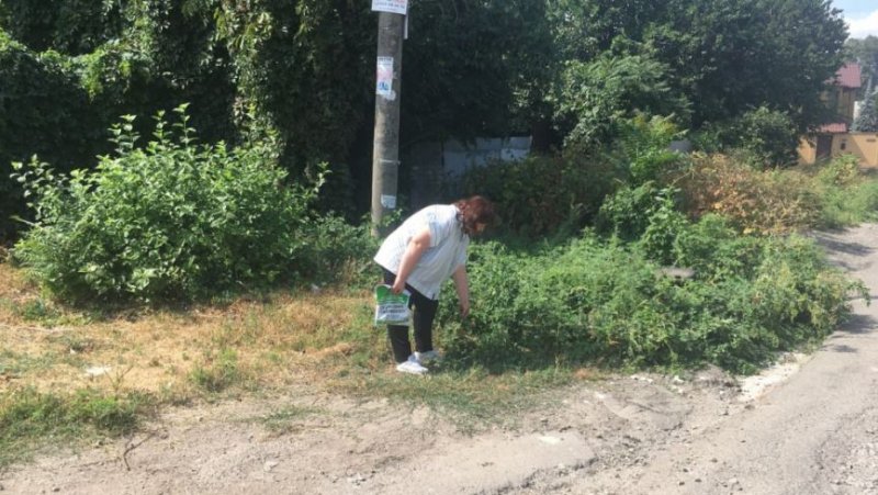 � ������� ����������� �������� ����� �������