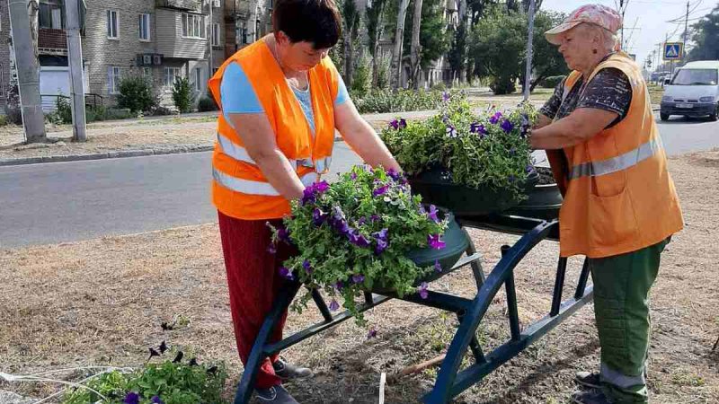 � �������������� ������ ���������� ������ �� �������� ����