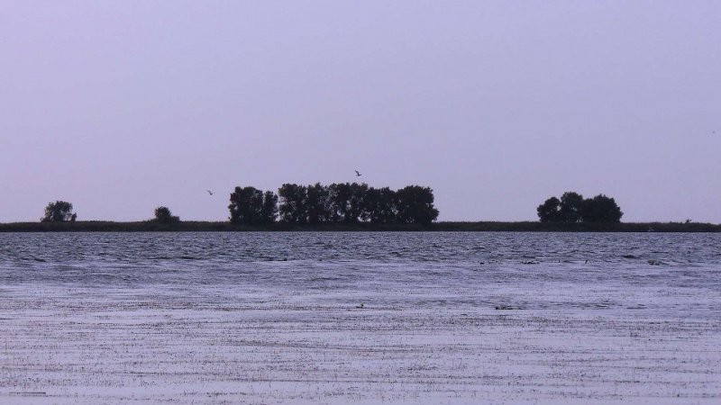 ϳ��� ����� ���������� ��������� ������ ����� ������ ������ ���������� �� ���� ���