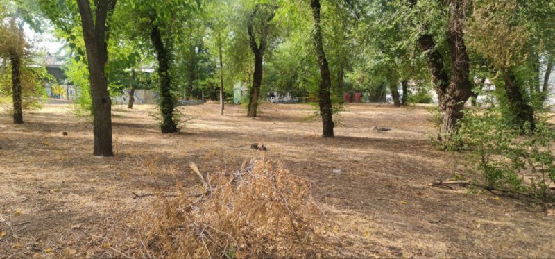 ���� ������������ ����� �������� �������� ����� �����