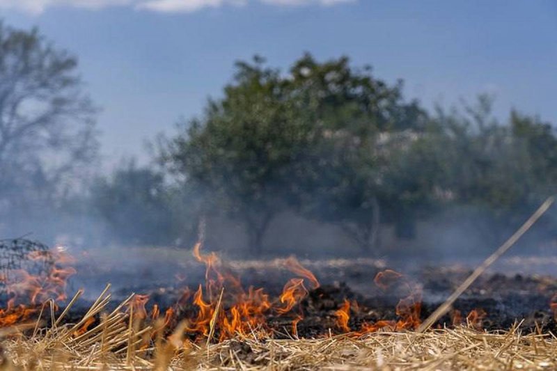 ����� �� ��������: �������� ������, � ��������, ���������� �� �����