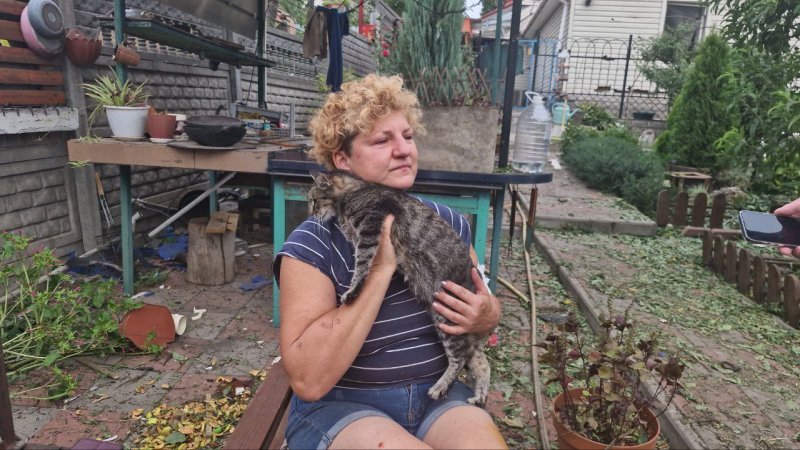 ������ ������� ���������� ������� ���������� ������� ��������. ����