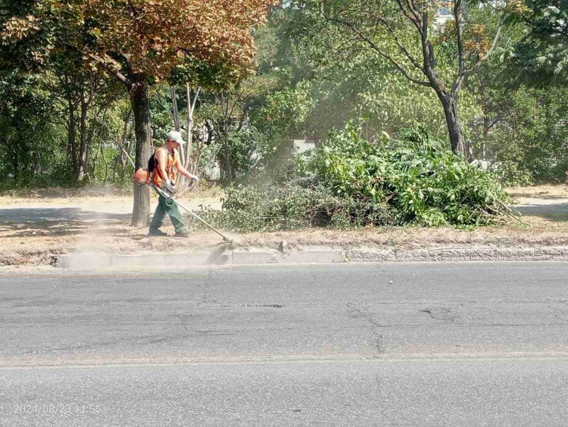 ���������� ����������� ������