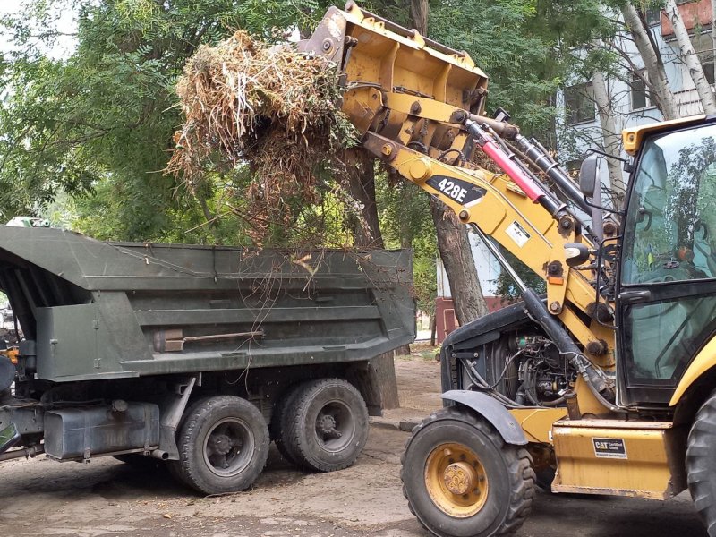 ˳�������� ���-������� �� ������ �����������