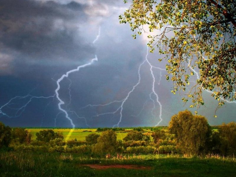 � ������� �������� ������������: ��������� �����