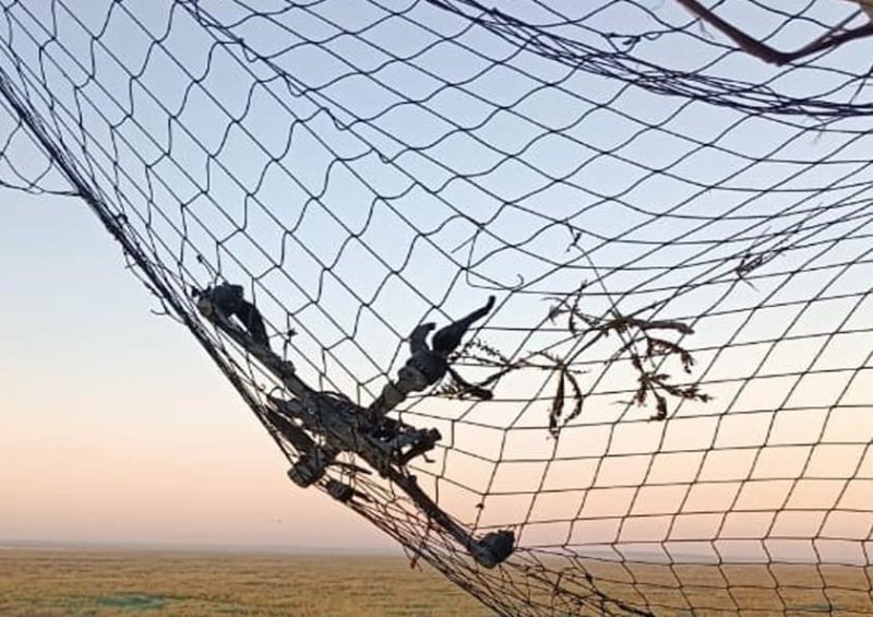 �� ����������� �������� ������������� ���������� 12 ������� ������