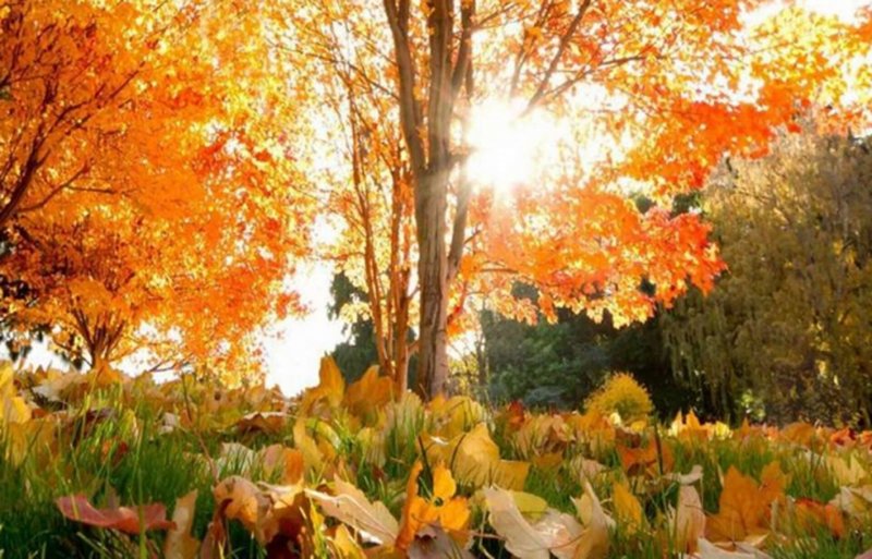 �������� ��� � ������ ���� �� ����: �������