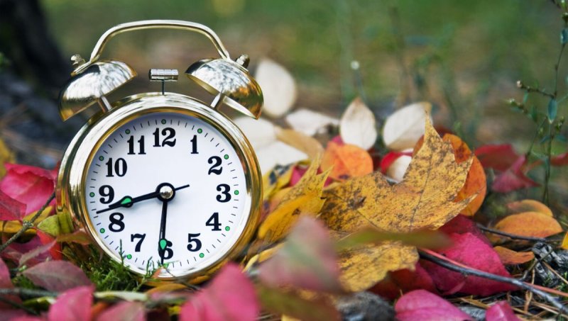 ������ �������� ������� �� ������� ���: ���� ���������� ��������