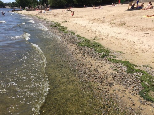 Пляжи Запорожской области: что показали исследования качества воды