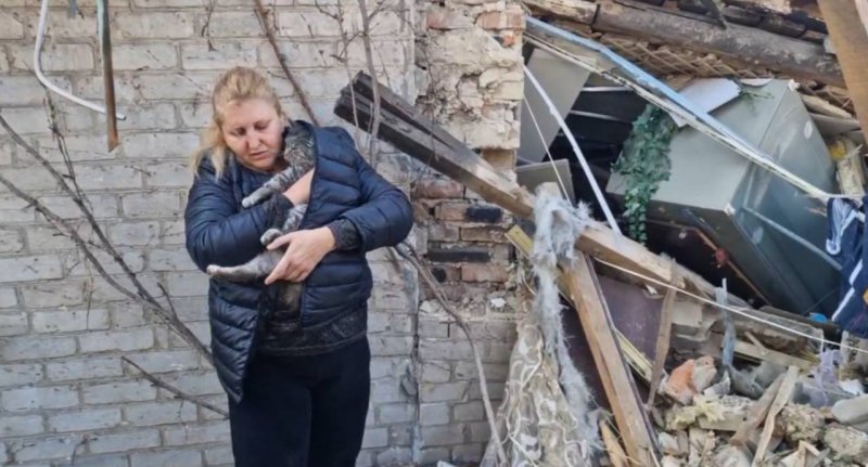 ����� ���, ������ �����: ���������� �������� ����� �� �������� �����������, �� ��������. ����. ²���