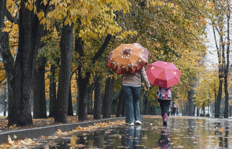 ������ �������� ���� �� �����: ��� ������ ���� � �������