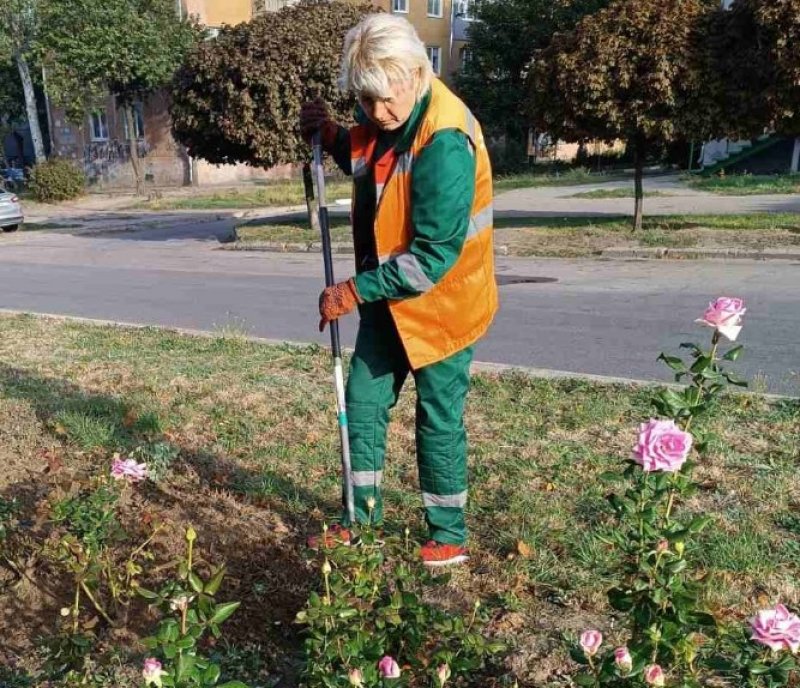 � ������� ���������� � ������ �� �������