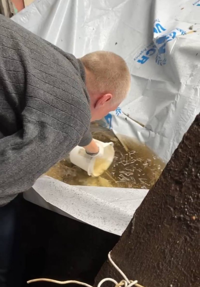 �� ��� ���� ����: ���������, �� ����������� �� ������� �� � �������, ������ ������. ²���