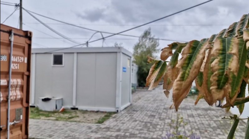 � �������� �� �� ������ ��� � ����� ��� �������: �� ������ ����������� � ����������� ���������� ������� ��������