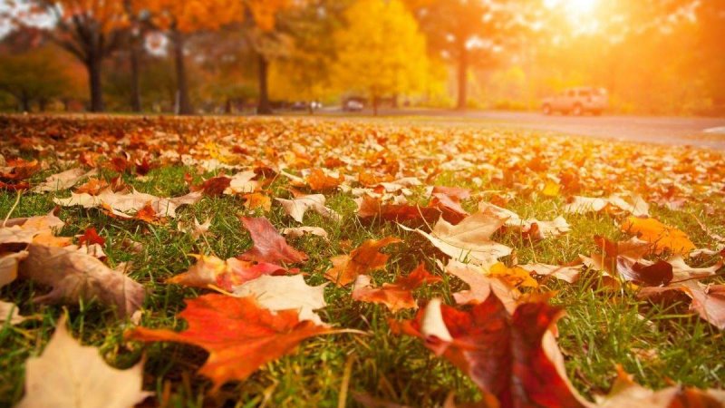 � ������ ������� ������ ���: ��� ������ ���� � �������