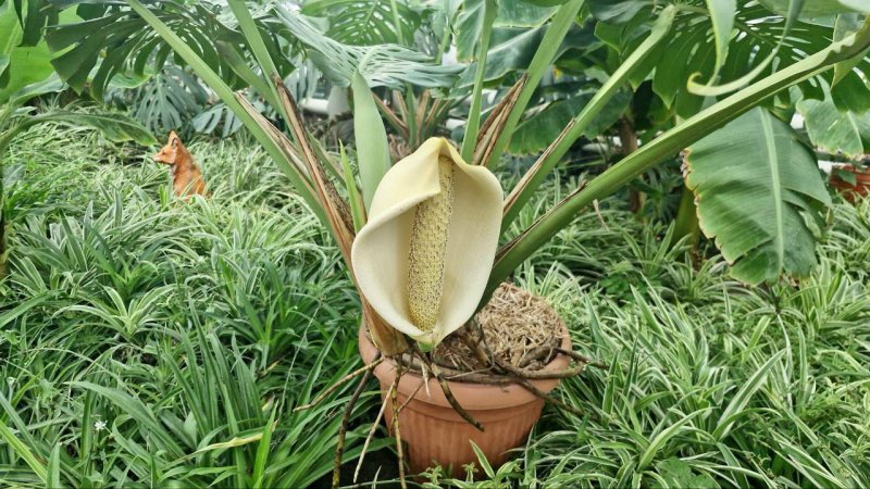 ���� � �������: �� ������� ���������� ���������� ��� ����� ������������