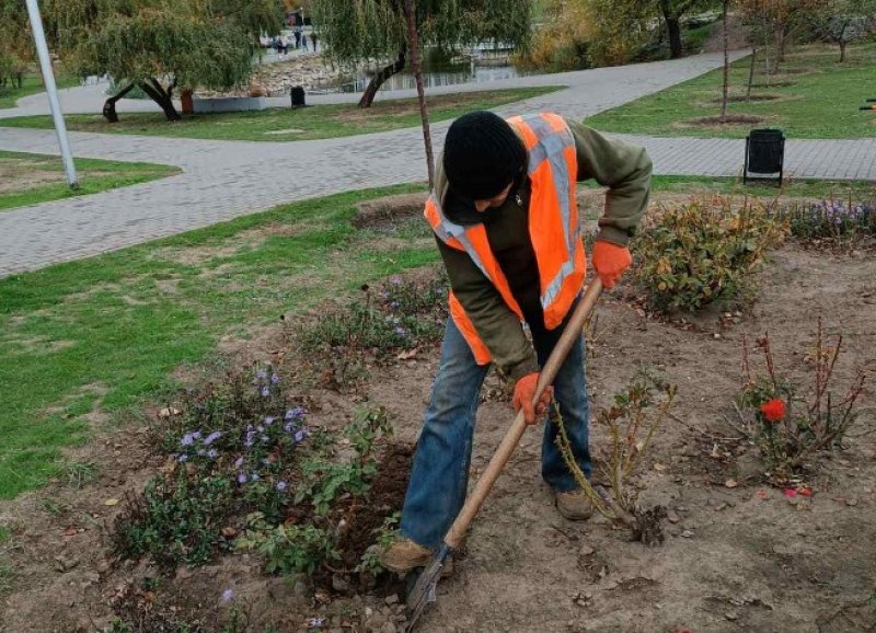 �������� ������� ������ � �����������