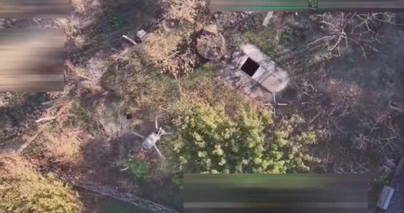 ��������� �����: �� ������� ���� ������������� ��������� ��������� Mavic. ²���