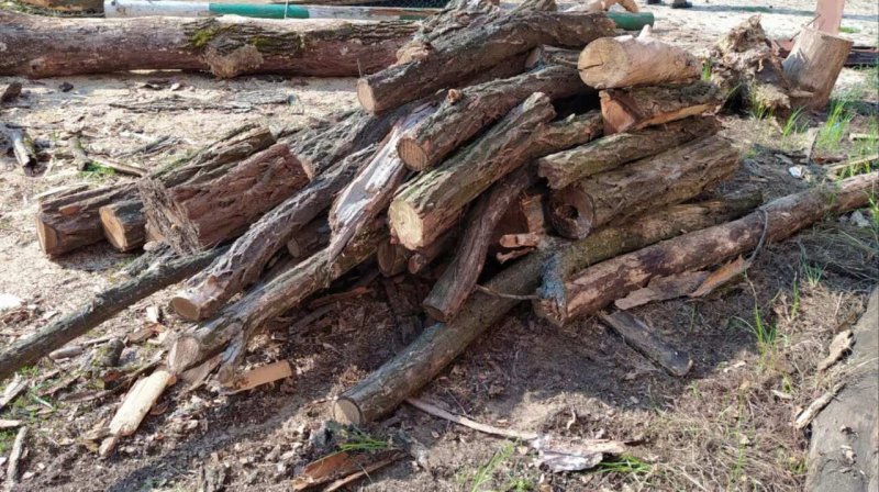 � ��������� ������ �������� ��� ������� �������� ��� ��������� ������