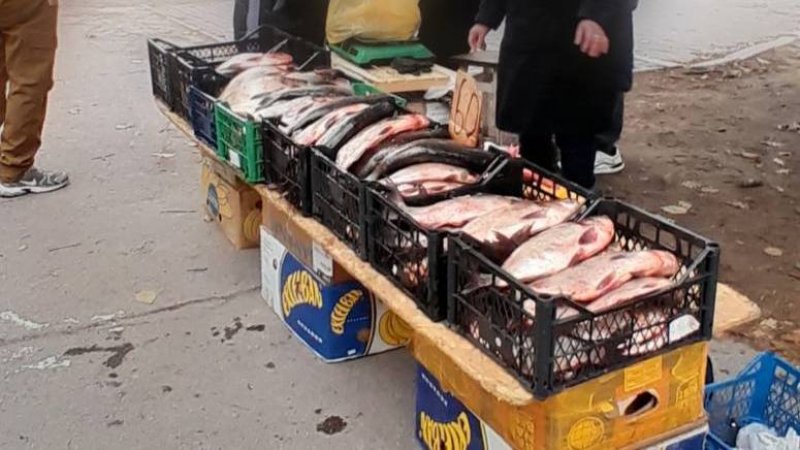 ������������ ����� �������� �������� � ����������� � ���� �����������