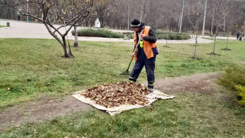 ������������ ������ ��� ������� � ���