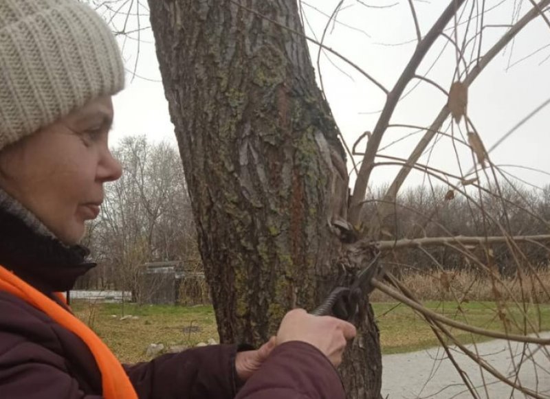 ����� ������ �����