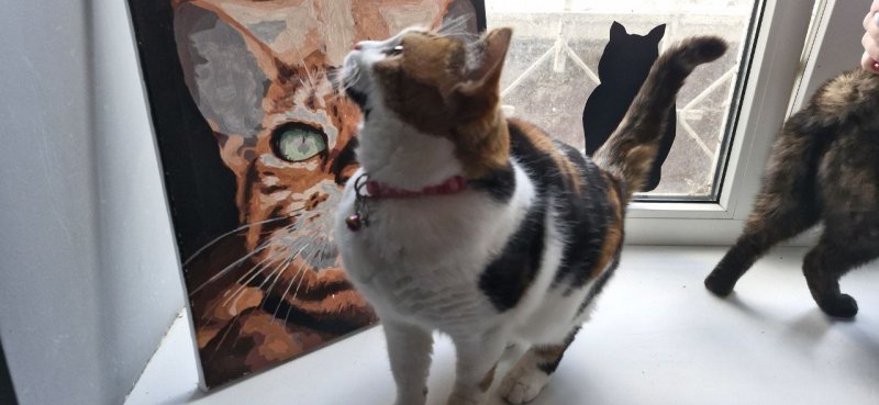 ��������� �������� � ������� ���������: �� ���� � ������������?