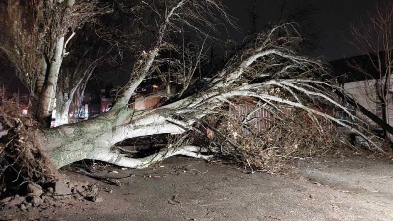 ������������ �������� ������� ������