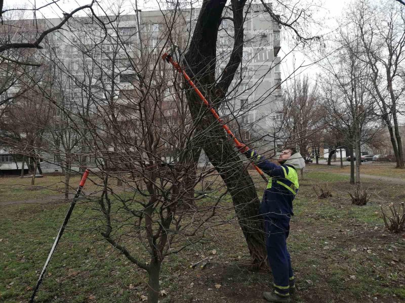 ������������ ����������� ��������� �� ��������