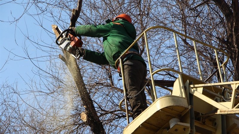 ������ ������������ �������� �����