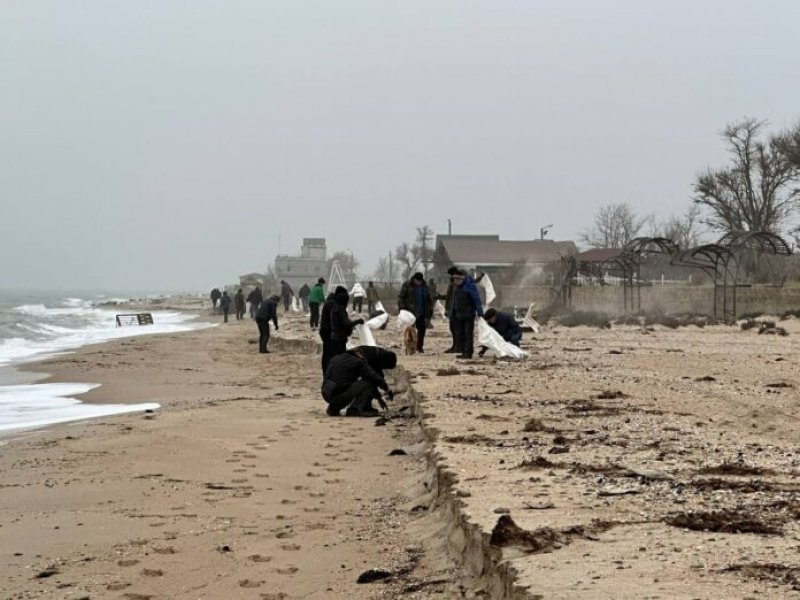 ������� ���������� �������� ���������� ������: ������ ��� ����������