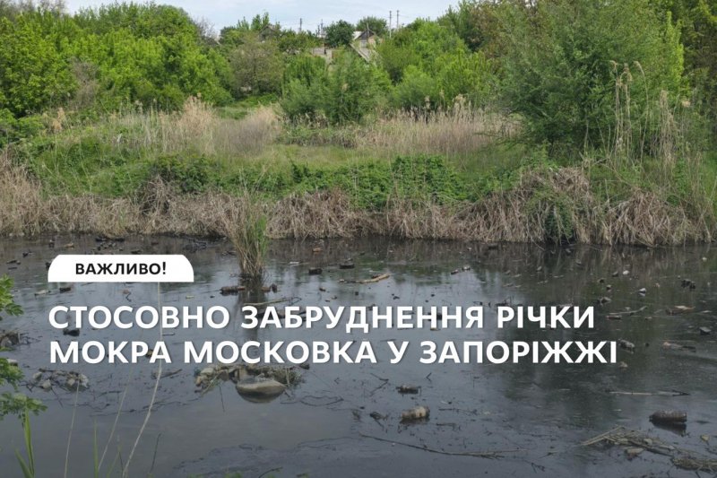 Щодо забруднення Мокрої Московки