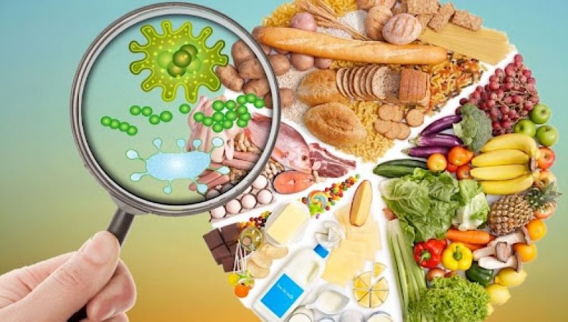 Щодо безпечності харчових продуктів у літній період