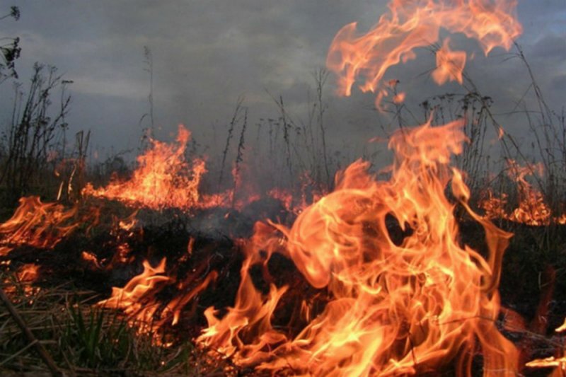 У Запорізькій області внаслідок диверсії ліквідовано 18 російських офіцерів