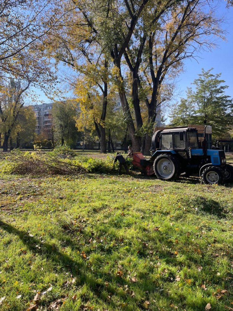 Продовжується обрізка дерев у Заводському районі