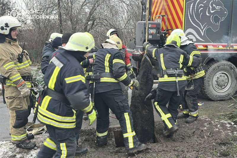 �������� ������������� ��������� ������, ��� ����� � ��������. ����