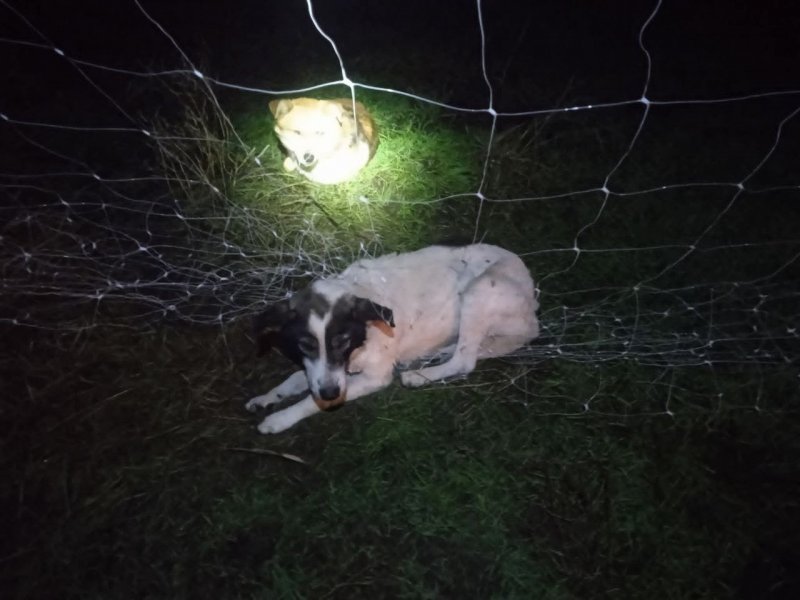 � ������� ��� ���������� � ����������� ����: ������ ���������