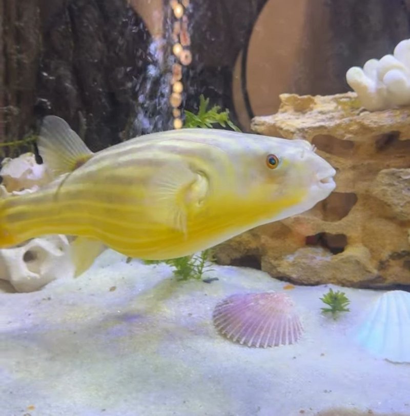 ������ ��� ��� �������: �� ��� �������� � ������� ���� ������ ����� �����. ²���