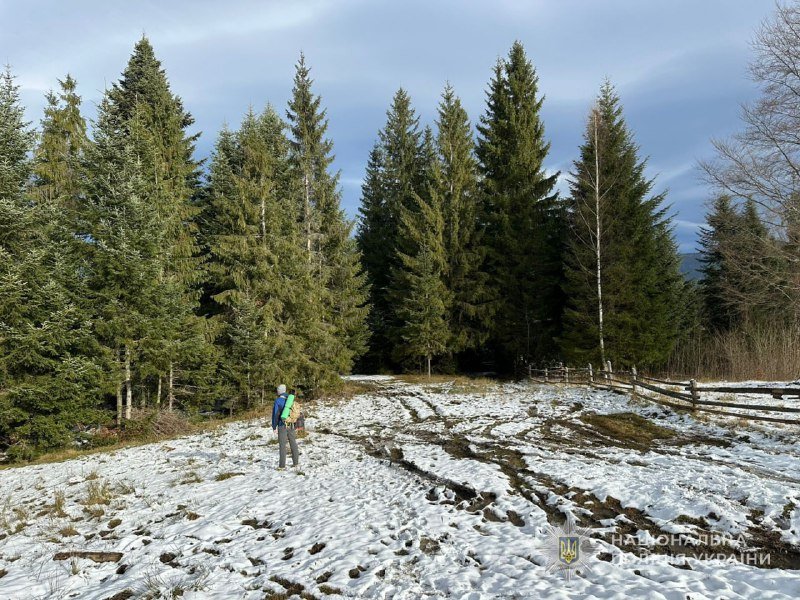 ������������ ���� �� �������: �� ������� ����� � �������� �� ������