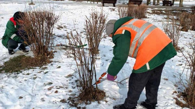 ����� � ������ ���� ������ ����������